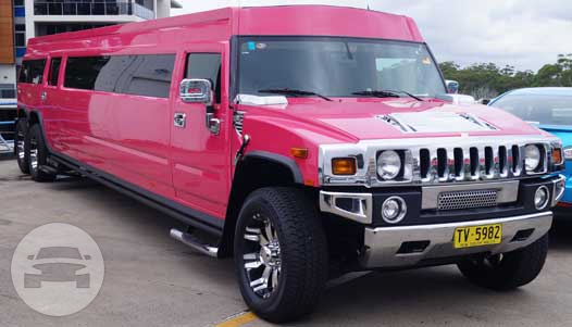 Pink Candy Girl Stretch Hummer
Hummer /
Sydney NSW, Australia

 / Hourly AUD$ 0.00
