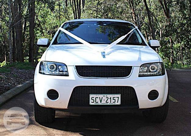 14 passenger Dreamtech SUV
Limo /
Perth WA, Australia

 / Hourly AUD$ 0.00
