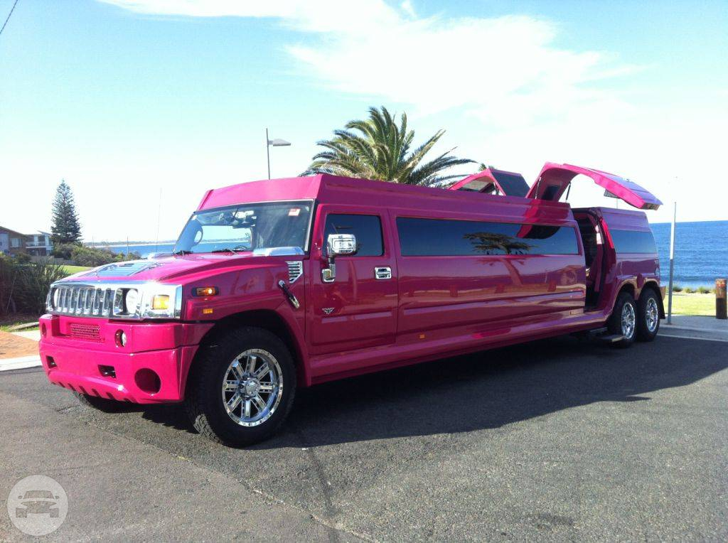 22 passenger Pink Playboy
Hummer /
Newtown NSW 2042, Australia

 / Hourly AUD$ 0.00
