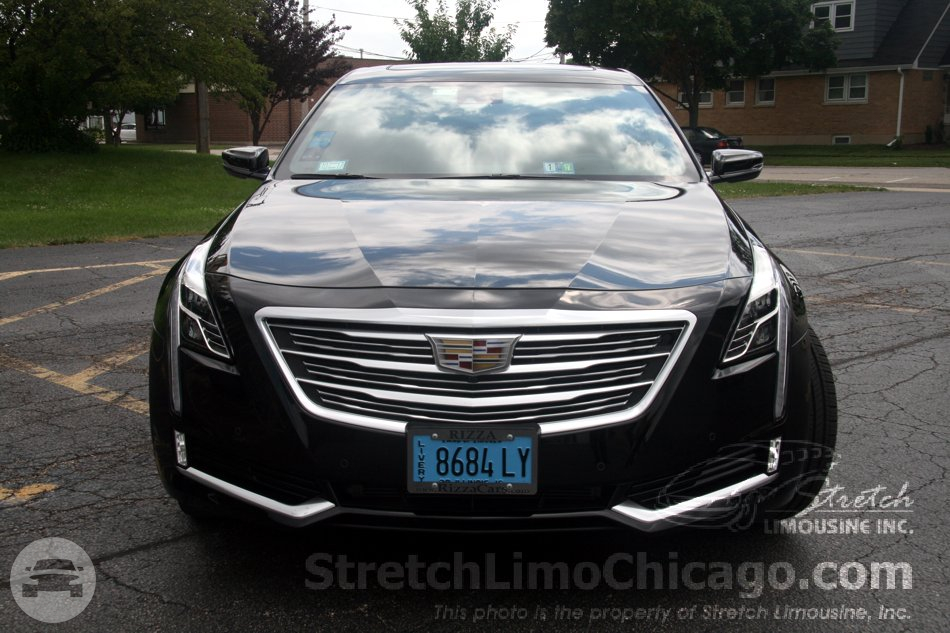 Cadillac CT6
Sedan /


 / Hourly AUD$ 0.00
 / Hourly (Other services) AUD$ 73.00
