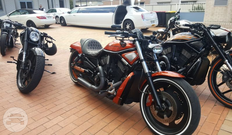 Harley Davidson
Sedan /
Sydney NSW, Australia

 / Hourly AUD$ 0.00
