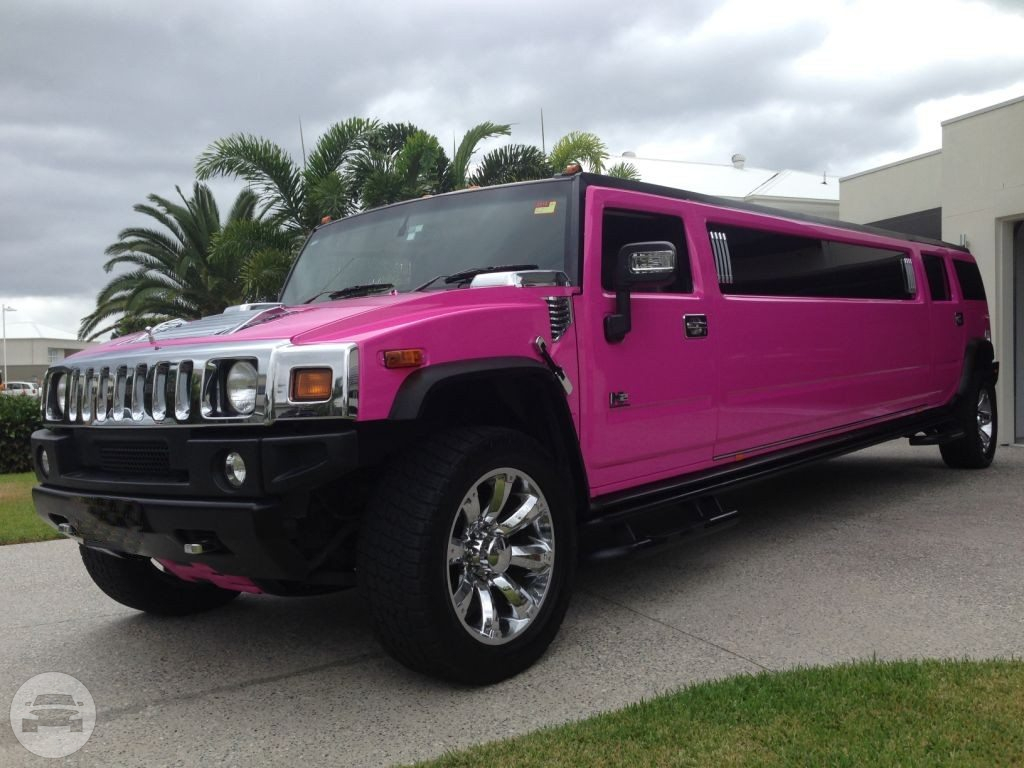 14 passenger Hot Pink 
Hummer /
Randwick NSW 2031, Australia

 / Hourly AUD$ 0.00
