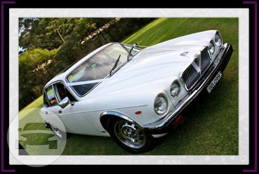 Classic Jaguar XJ6 
Sedan /
Narellan Vale NSW 2567, Australia

 / Hourly AUD$ 0.00
