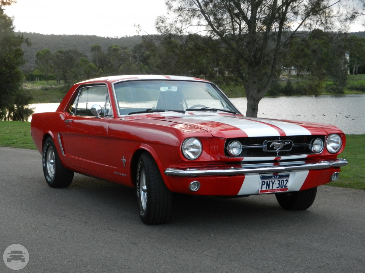 Red Mustang Sedan
Sedan /
Sydney NSW, Australia

 / Hourly AUD$ 0.00
