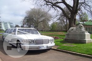  Mercedes Stretch Limousine
Limo /
Creswick VIC 3363, Australia

 / Hourly AUD$ 0.00
