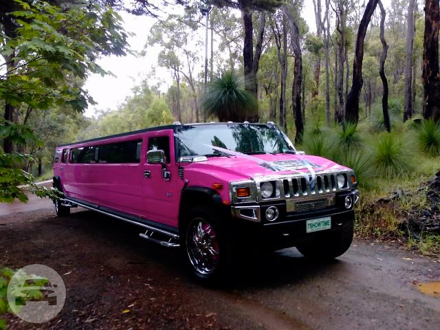 16 passenger Pink Hummer
Hummer /
Perth WA 6000, Australia

 / Hourly AUD$ 0.00
