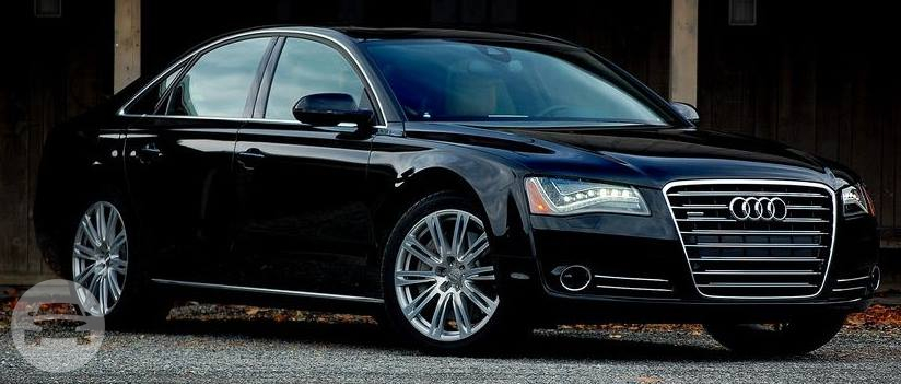 Audi A8L (Black) 
Sedan /
Baulkham Hills NSW 2153, Australia

 / Hourly AUD$ 120.00
