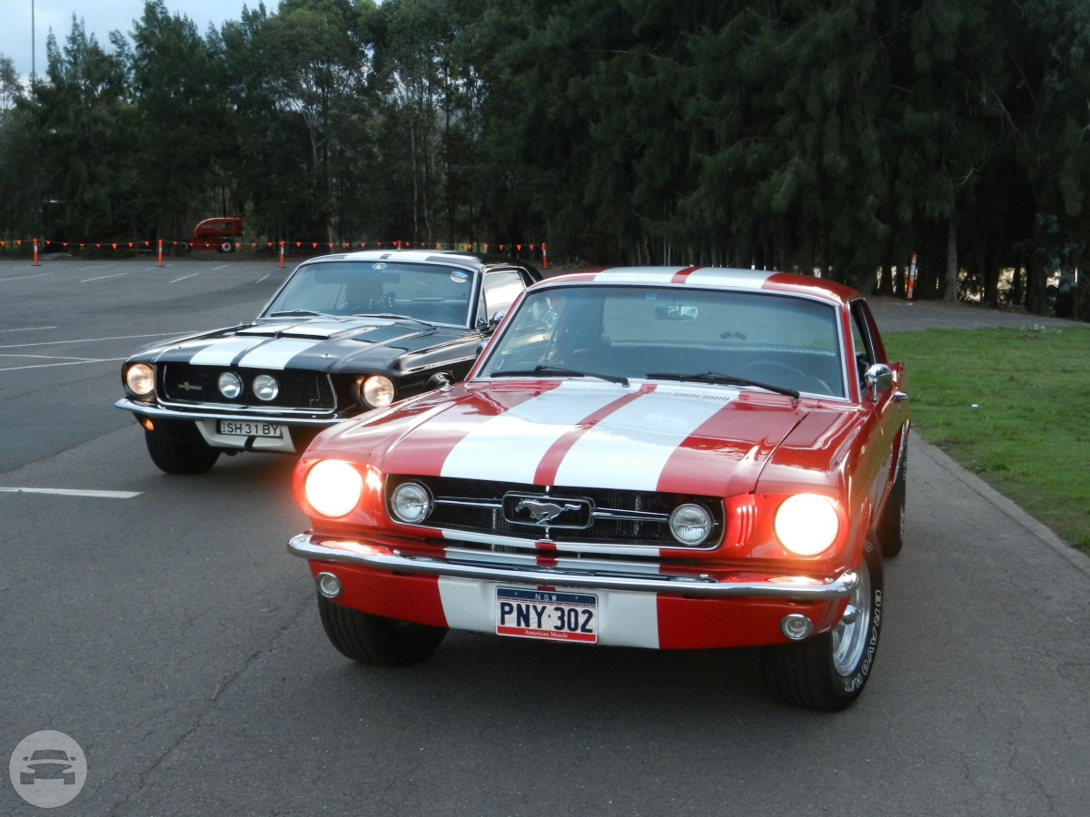 Classic Mustang Red
Sedan /
Glenbrook NSW 2773, Australia

 / Hourly AUD$ 0.00
