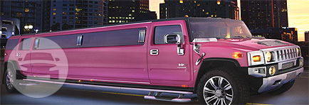 Pink Panther Hummer
Limo /
Auburn NSW 2144, Australia

 / Hourly AUD$ 750.00

