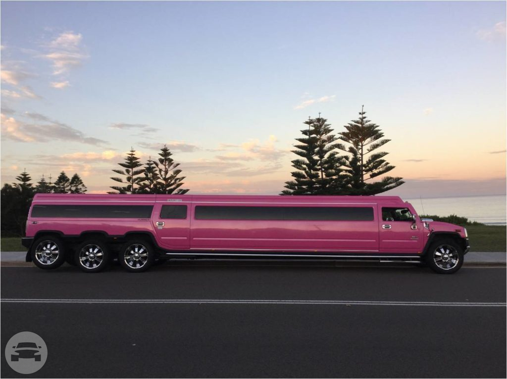 Pink Playboy Stretch Hummer
Hummer /
Sydney NSW, Australia

 / Hourly AUD$ 0.00
