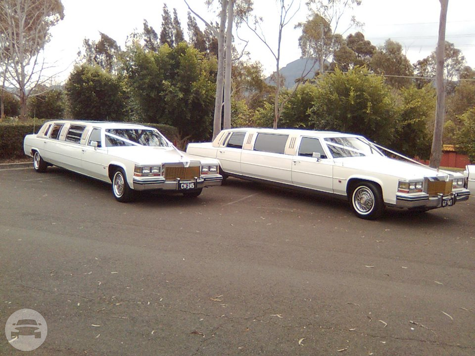 Cadillac Stretch
Limo /
Wollongong NSW 2500, Australia

 / Hourly AUD$ 0.00
