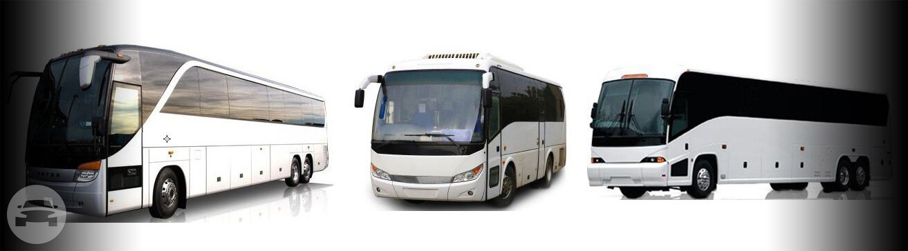BUSES AND COACH BUSES
Coach Bus /


 / Hourly AUD$ 0.00
