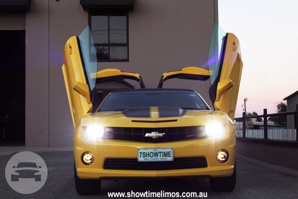 Bumble Bee Transformer 
Limo /
Perth WA 6000, Australia

 / Hourly AUD$ 0.00
