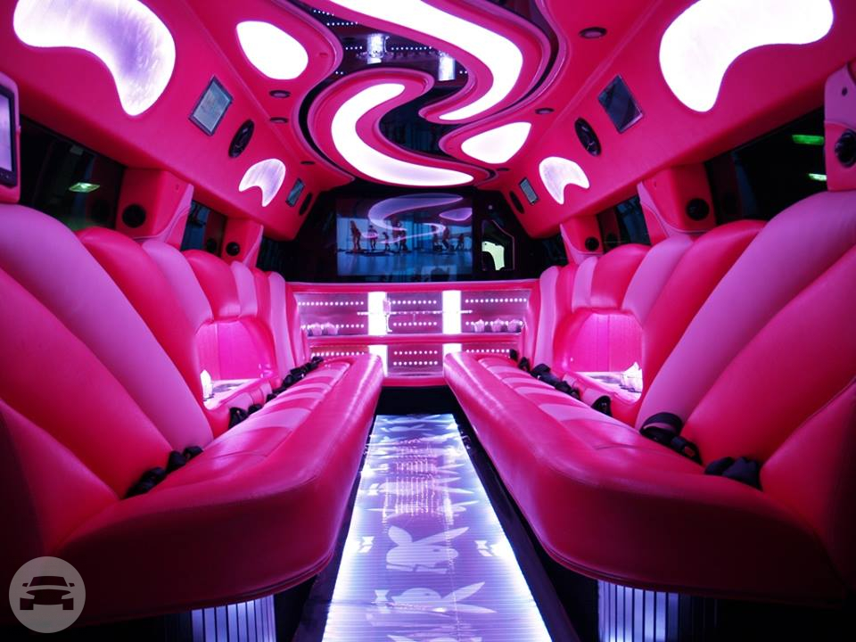 Pink Hummer Stretch Limousine
Limo /
Morpeth NSW 2321, Australia

 / Hourly AUD$ 0.00
