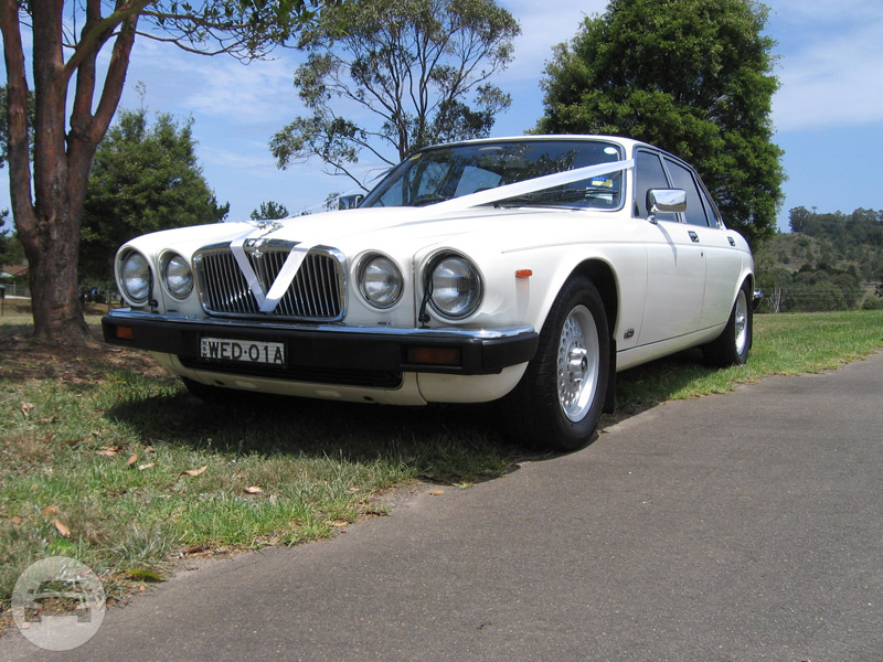 Jaguar Series 3 1985
Sedan /
Abbotsbury NSW 2176, Australia

 / Hourly AUD$ 0.00
