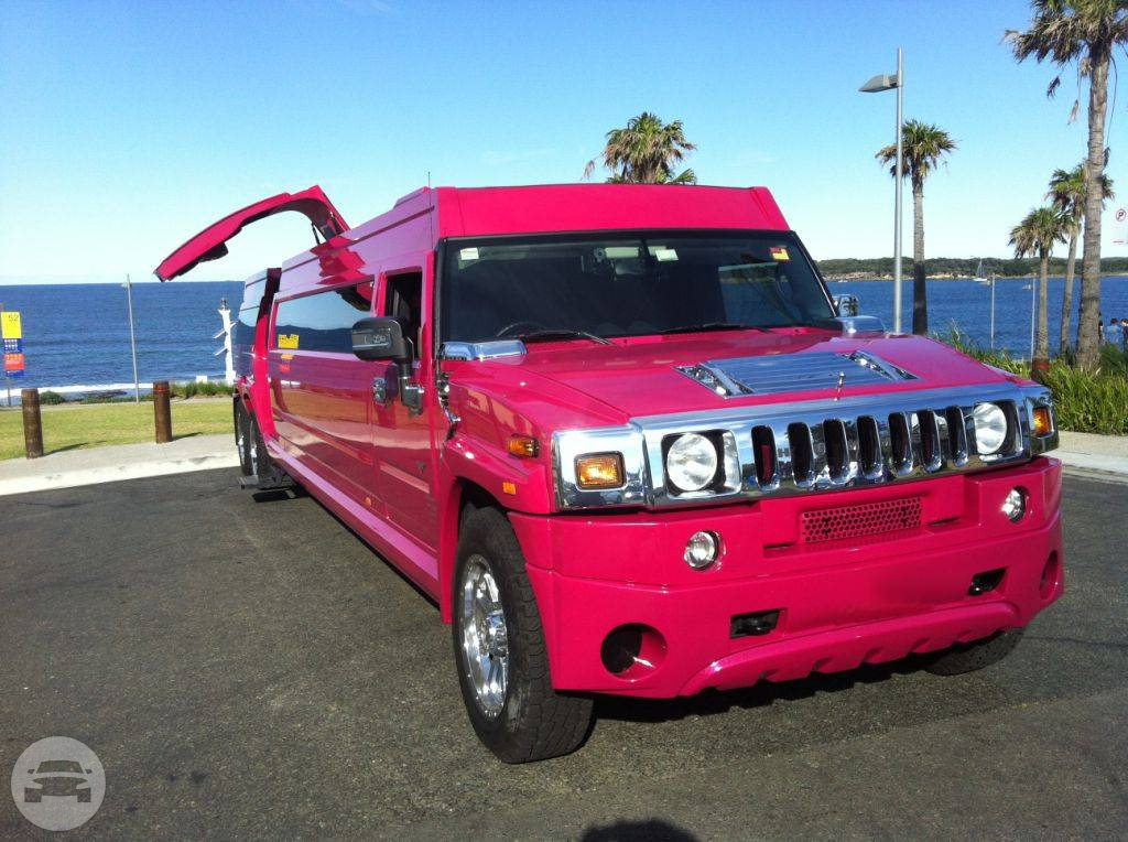 22 passenger Pink Playboy
Hummer /
Fairfield NSW 2165, Australia

 / Hourly AUD$ 0.00
