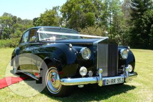 1955 Rolls Royce Silver Cloud I
Sedan /
Gold Coast QLD, Australia

 / Hourly AUD$ 0.00
