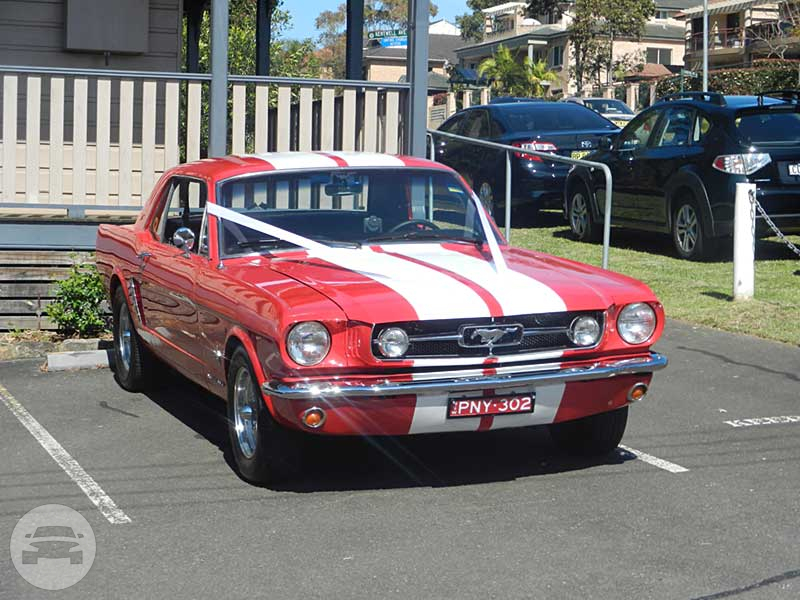 Red Mustang Sedan
Sedan /
Sydney NSW, Australia

 / Hourly AUD$ 0.00
