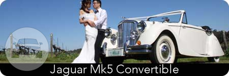  1949 – 1951 Jaguar Mk5 convertibles 
Sedan /
Mosman Park WA 6012, Australia

 / Hourly AUD$ 0.00
