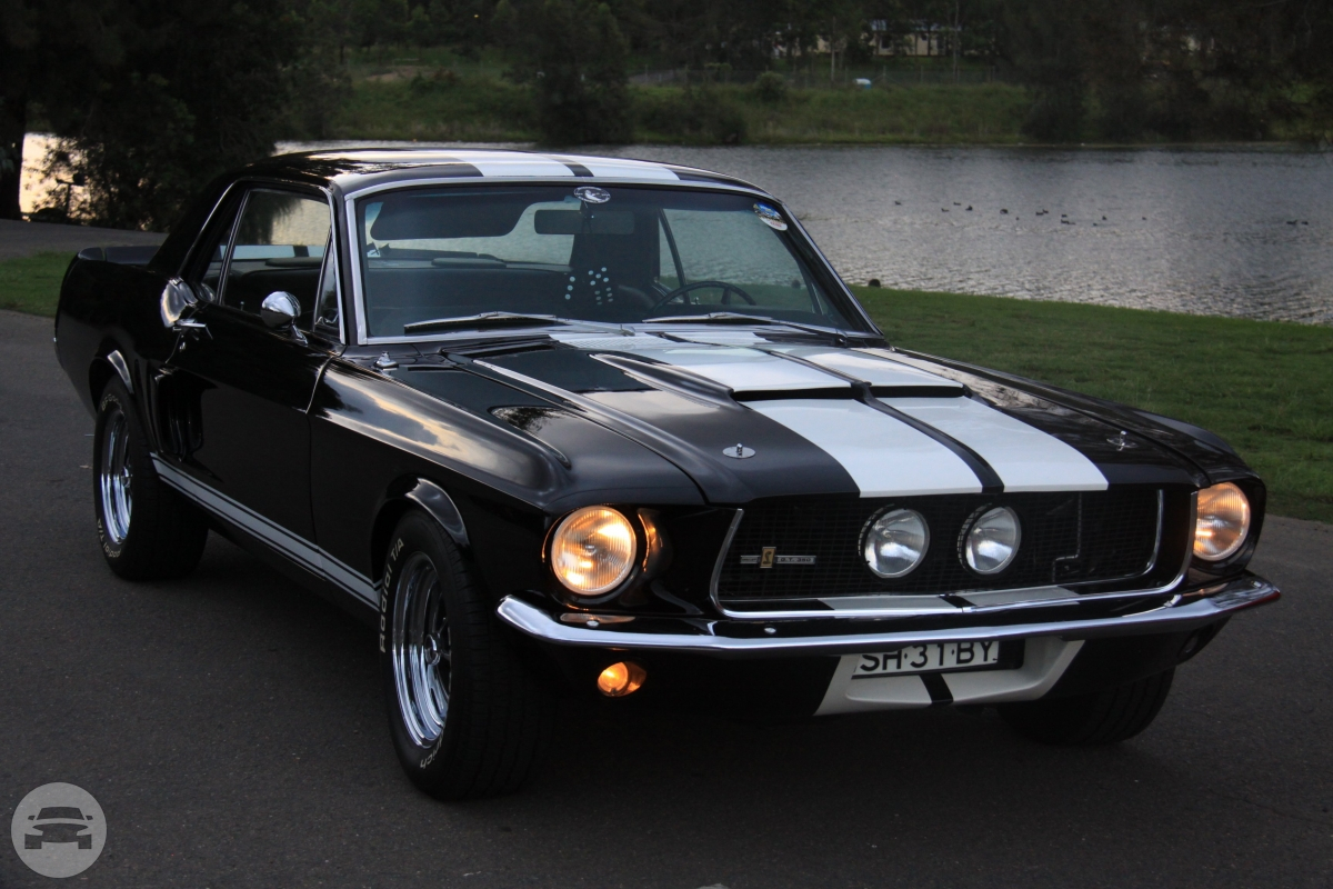 Classic Mustang Black
Sedan /
Glenbrook NSW 2773, Australia

 / Hourly AUD$ 0.00
