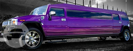Purple Hummer
Hummer /
Sydney NSW 2000, Australia

 / Hourly AUD$ 0.00
